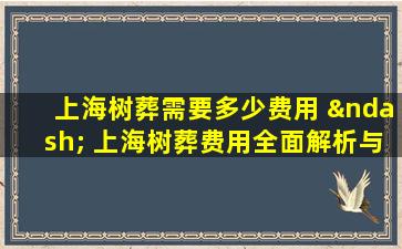 上海树葬需要多少费用 – 上海树葬费用全面解析与节省技巧